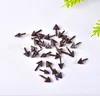 Accesorios de pollo amarillo pequeño transfronterizos pollo de ojos negros pico de pájaro directo a pico de pato boca de animal