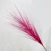 Capim-dos-pampas Novo Ano Celebração Fogos de Artifício Casamento Arranjo de Flores Decoração Atmosfera de Inauguração Decorações Fabricante Atacado