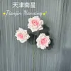 3 Rosas de Diamante Sin Hojas Decoración Floral de Boda Flor Artificial Cascada Mar de Flores Rosa Popular Flor Artificial