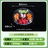 Caja Desechable para Fruta Transparente con Tapa Caja de Embalaje de Plástico Caja para Llevar Caja Gruesa con Compartimentos Caja para Fruta Cortada y Ensalada