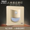 Delixi Socket de Interruptor Ultradelgado Panel de Enchufe Grande Plano Enchufe Dorado Marco de Acero Dorado Shisha Panel Simple 86