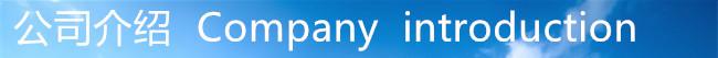 公司介绍