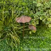 Dos Decoraciones de Suelo para Exteriores con Forma de Hongo Marrón Retro, una Grande y una Pequeña, se Pueden Usar en Patios y Macetas de Plantas Verdes