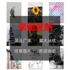 Amazon TEMU Xiyin Transfronterizo Coche Tema Negro Lujo Coche Fiesta Arte Pintura Sin Marco Núcleo Decoración del Hogar