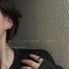 Aretes Minimalistas Compactos de Personalidad Versátil para Mujer Ins Aretes de Diseño Nicho 2025 Nuevos Aros de Moda