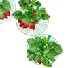 Suporte de Plantio de Morango para Casa, Estrutura de Suporte Simples Anti-Podridão e Anti-Desfolhação, Rack de Bandeja de Flores para Jardinagem, Ferramenta Mágica