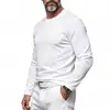 Ropa de hombre transfronteriza, camiseta básica de manga larga con cuello redondo para primavera y otoño, camiseta básica versátil de color liso ajustada, top casual para hombre