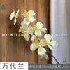 Flor Artificial Bandai Orchid de Alta Qualidade Decoração de Casamento Bandai Orchid Decoração Suave Arranjo Floral Corsage de Orquídea Phalaenopsis Buquê de Mão