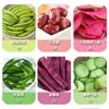 Crujientes de Frutas y Verduras Personalizados 5 kg a Granel Frutas y Verduras Secas Mixtas, Champiñones Secos Crujientes, Frutas y Verduras Mixtas Deshidratadas