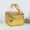 Bolsa de isolamento para bolo especial para levar bolsa de resfriamento folha de alumínio espessada portátil isolamento térmico logo impresso grande capacidade bolsa refrigerada