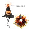 Conjunto de sombrero y bufanda de Halloween patrón de calavera gato Set de sombrero de capa accesorios