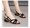 Nuevas Sandalias de Verano 2024 Estilo Coreano Famosas en Internet Estilo Hada Hebilla de Una Línea con Boca de Pez Tacón Bajo Sandalias de Moda para Mujer