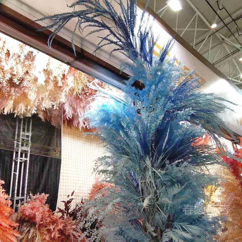 芒草效果