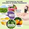 Suministro Transfronterizo de Aceite Esencial de Masaje Rosa Lavanda Menta Coreana Comercio Exterior Completo Inglés Fabricante de Aceites Esenciales Vegetales Venta al por Mayor