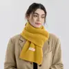 Cachecol de Tricô Elegante Versátil Cor Sólida Estilo Coreano Imitação de Caxemira para Mulheres, Cachecol Quente de Inverno Macio para Casais, Xale Unissex