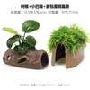 Aquário Musgo Terrário Planta Aquática Paisagismo Planta Real Tanque de Esconderijo para Peixes e Camarões Casa de Camarão Pequeno Ornamento Casa de Esconderijo para Criação de Peixes Pequenos