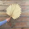 Flores Secas Folhas de Palmeira Leque Grande Estilo Floresta Exibição de Floricultura Móveis Macios Arco Decoração de Casamento Montagem de Cena Folhas de Palmeira