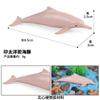 Simulación Animal Marino Modelo Sólido Juguete Ballena Mundo Submarino Moby Dick Cognición Infantil Tiburón Delfín Foca