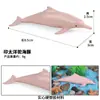 Educação Infantil Cognitiva Mini Conjunto de Modelos de Vida Marinha Animal Simulado Tubarão Golfinho Morsa Baleia Polvo Tartaruga