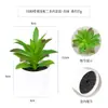 Más de 100 Tipos de Combinaciones de Plantas Suculentas Mini de Plástico Simuladas en Maceta, Mini Bonsáis Suculentos Más Vendidos Transfronterizos, Decoración para el Hogar, Adornos Creativos