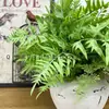 Plástico color nieve planta pegamento suave simulación Hierba persa Adiantum planta verde decoración hoja de helecho planta pared planta verde en maceta