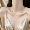 Colar de Aço Titânio com Franjas e Pingente Nariz de Porco Estilo Europeu e Americano de Luxo Leve para Mulheres, Corrente de Clavícula Longa em Camadas Exquisita e de Alta Qualidade para Outono e Inverno