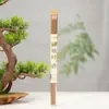 Varillas de Incienso de Hoja de Pomelo Más Vendidas en Tiktok, Fragancia de Hoja de Pomelo, Aroma Refrescante y Limpio para Uso en el Hogar, Fragancia Interior de Larga Duración