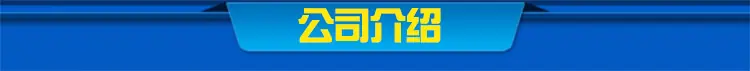 公司介绍