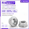 Porca Sextavada com Flange de Rosca Fina de Aço Inoxidável 304 M8M10M12 Tampa de Parafuso Antivibração com Arruela Coleção de Porcas Antiderrapantes