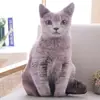2026 Modelo Nuevo Almohada de Peluche Divertida con Forma de Animal y Patrón de Impresión Digital, Almohada Casera Casual y Cómoda