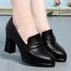 Zapatos de Tacón Alto para Mujer 2025 Primavera y Otoño Nuevo Estilo Zapatos Negros de Trabajo Versátiles Tacón Grueso Zapatos de Piel Zapatos para Ir al Trabajo Mamá Zapatos de Salón