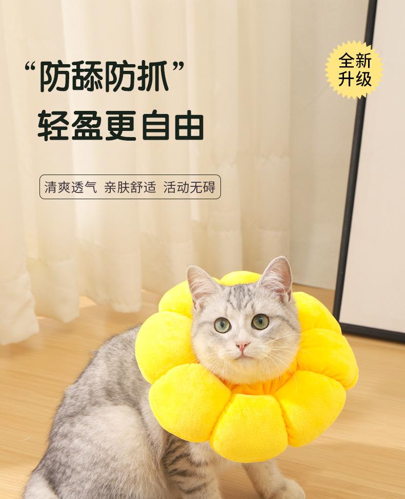 详情_01.jpg
