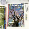 Colección de Cuadernos A4 Delgados: Cuadernos de Línea Horizontal, Alta Calidad, para Estudiantes Preparándose para Exámenes de Posgrado, Extra Gruesos, Cuadernos de Borrador y Práctica Seccionados, para Comercio Exterior