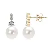 Pendientes de Perla de Plata de Ley S925 de Amazon para Mujer, Estilo de Lujo Ligero de Moda, Pendientes Elegantes con Diseño Único, Venta al por Mayor para Exportación