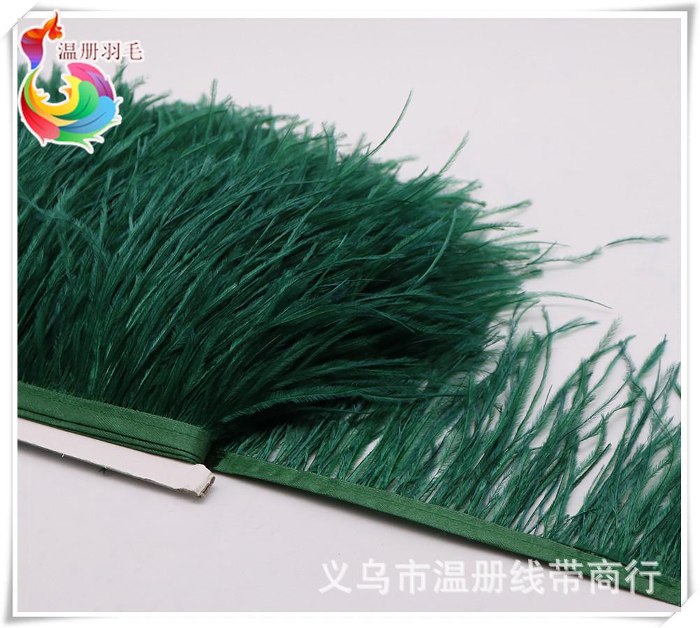 23 atrovirens ostrich feather
