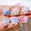 Acessórios de Resina Acessórios DIY Fivelas de Sapato Adesivos para Copo D'água Cola de Chantilly Acessórios de Cabelo Adesivos para Tampa de Canudo Cola Super Cola Pó de Glitter Flor de Cerejeira