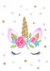Pintura Decorativa Infantil de Unicornio Moderno y Sencillo para Habitación de Princesa, Dibujos Animados, Núcleo de Pintura Decorativa Sin Marco para Guardería