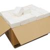 Servilleta Donglan pañuelo pequeño 100 paquetes 70 hojas caja completa venta al por mayor hotel restaurante toalla de mano suministro directo de fábrica