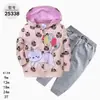 Comercio Exterior Ropa Infantil Primavera y Otoño Conjunto Infantil de Dos Piezas Material Sudadera Sudadera con Capucha Ropa Infantil para Bebés Ropa de Salida [Al por Mayor]