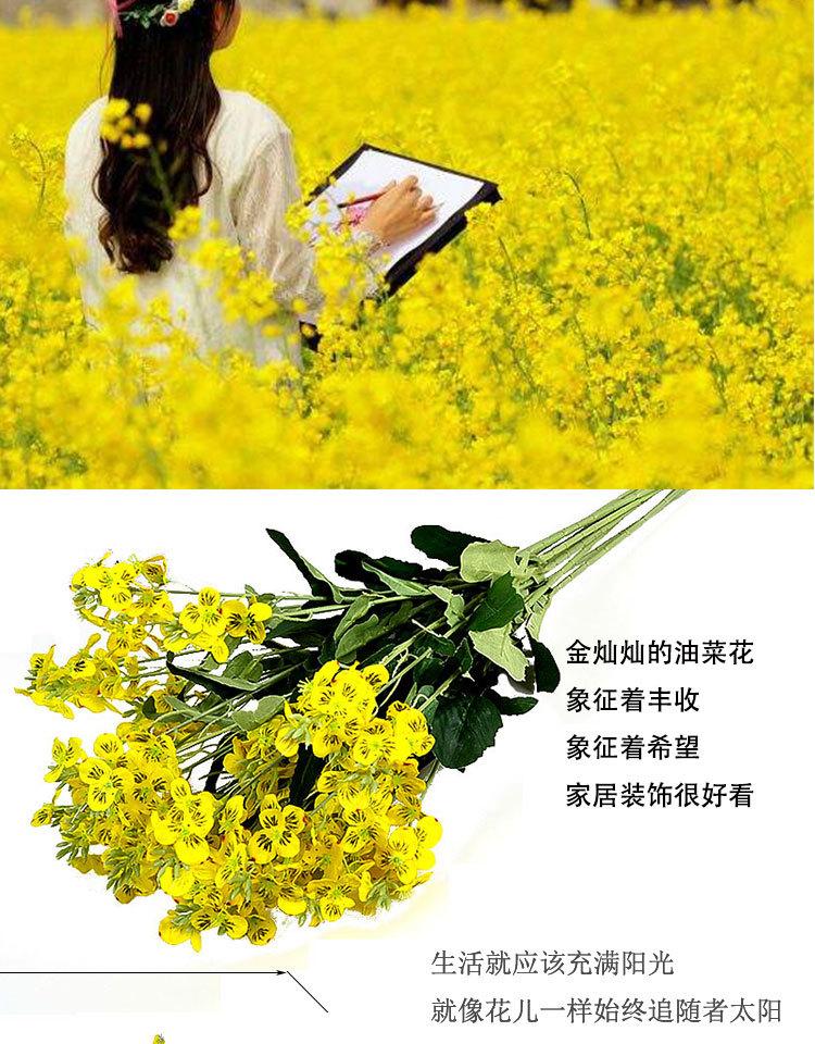 未标题-1_02.jpg