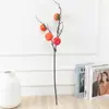 Simulación de Rama de Fruta de Caqui Adornos de Flores Artificiales Adornos Decorativos para Sala de Estar Arreglo floral Ramo de flores De pie Flores secas Decoración Suave para el Hogar