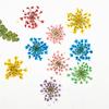 Flor de cuentas de nieve que absorbe el color y el encaje, flor seca en relieve, hojas reales, muestra de planta, decoración facial, maquillaje de pétalos