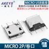 MICRO 2p / boca plana microfone sem bordas mãe assento vertical direto plugue 2 pinos 2 pinos USB tomada Android interface de carregamento Android
