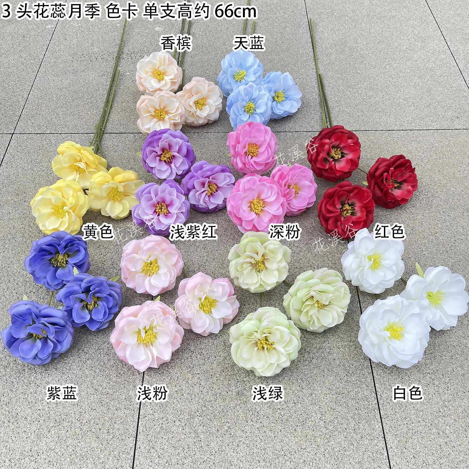 3头花蕊月季 色卡 花溪谷.jpg
