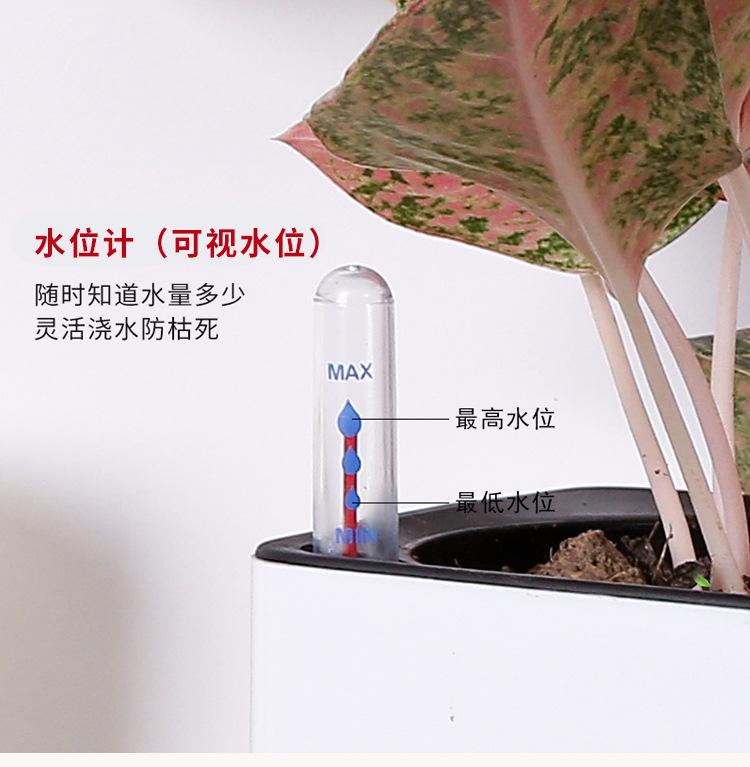 详情页_01.png