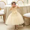 Vestido de Niña Nuevo Sin Mangas Bebé de un Año Vestido de Princesa para Boda Vestido Francés Poncho Vestido de Princesa Vestido de Malla