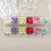 12 Rejillas Joyería para Uñas Resina Pequeña Fresca Mezclada Flor de Cinco Pétalos Color Caramelo Macarrón Flor Joyería Estéreo para Uñas