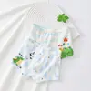 Ropa interior para niños tipo algodón puro A Algodón Niños Niños Estudiantes de secundaria Niños medianos y grandes Calzoncillos tipo bóxer para niños Venta al por mayor
