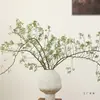Ramo de Flores Secas Wabi-Sabi Recién Cortado para Decoración de Sala de Estar, Flores Reales en Jarrón, Adorno de Ramas Secas