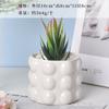 Vasos de Flores de Porcelana Branca Transfronteiriços Amazon Vasos de Cerâmica Simples Criativos Preto e Branco para Orquídeas de Interior Plantas Verdes